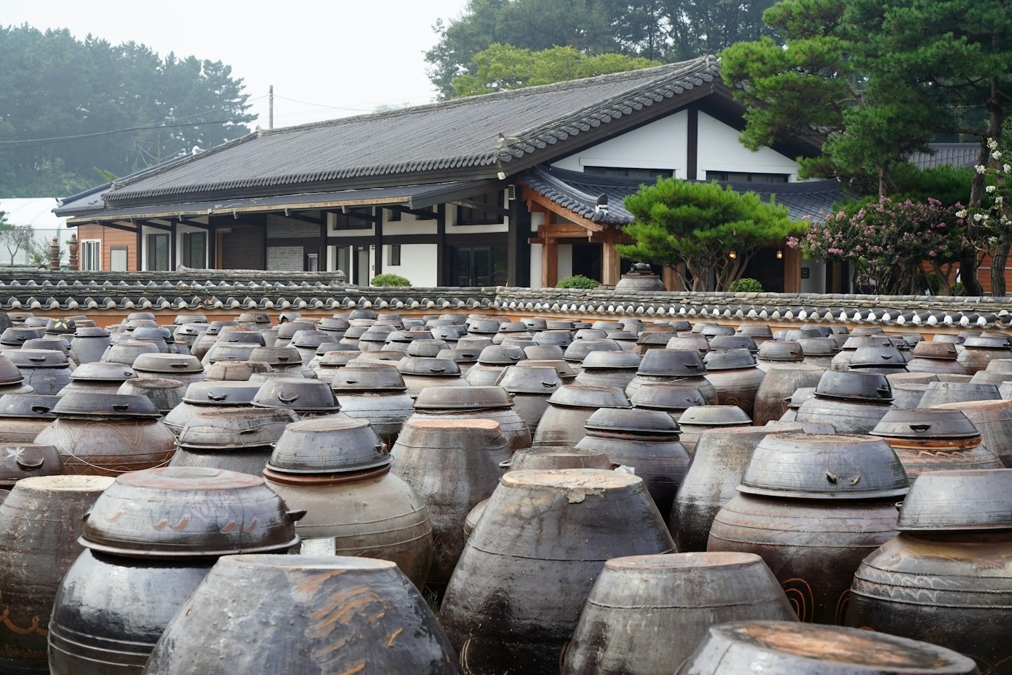 Where to Find Genuine Traditional Court Cuisine in Modern Seoul